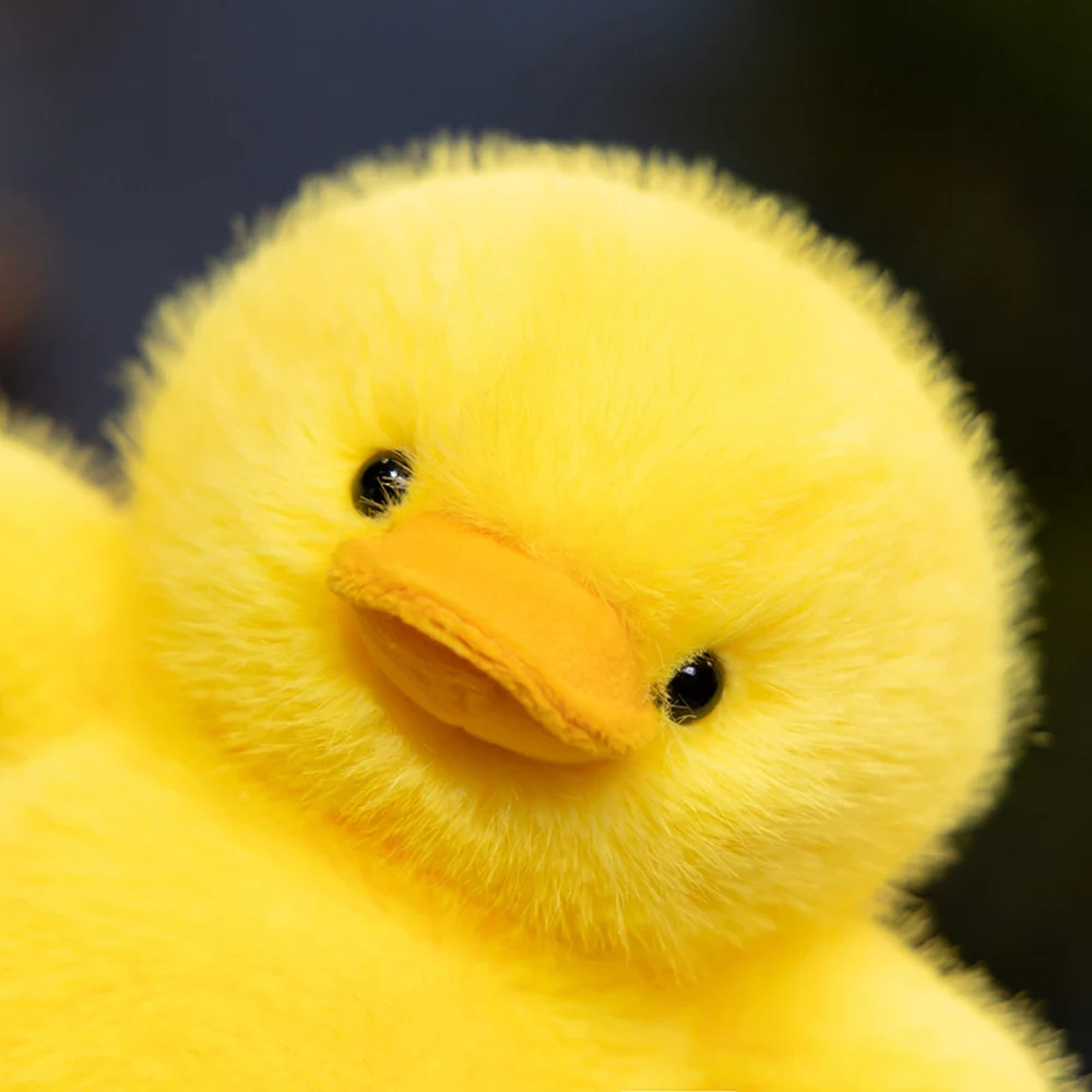 img_aliexpress_1772178756_6.jpeg 7